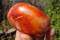 Polished Carnelian Agate Galet / Palm Stones x 12 From Madagascar - Toprock Gemstones and Minerals 