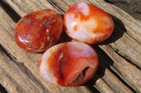 Polished Carnelian Agate Galet / Palm Stones x 12 From Madagascar - Toprock Gemstones and Minerals 