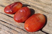 Polished Carnelian Agate Galet / Palm Stones x 12 From Madagascar - Toprock Gemstones and Minerals 