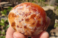 Polished Carnelian Agate Galet / Palm Stones x 12 From Madagascar - Toprock Gemstones and Minerals 