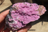 Natural Salrose Cobaltion Dolomite Specimens x 4 From Kakanda, Congo - Toprock Gemstones and Minerals 