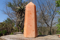Polished Orange Twist Calcite Tower x 1 From Maevantanana, Madagascar - Toprock Gemstones and Minerals 