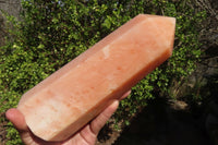 Polished Orange Twist Calcite Tower x 1 From Maevantanana, Madagascar - Toprock Gemstones and Minerals 