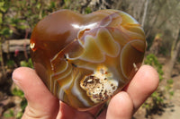 Polished Carnelian Agate Hearts x 12 From West Coast, Madagascar