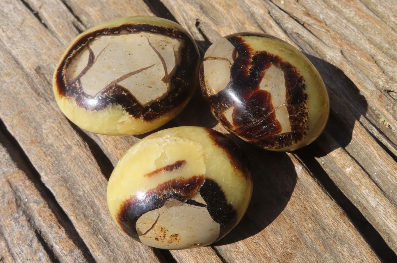 Polished Septerye Galet / Palm Stones x 12 From Mahajanga, Madagascar - Toprock Gemstones and Minerals 