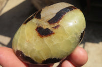 Polished Septerye Galet / Palm Stones x 12 From Mahajanga, Madagascar - Toprock Gemstones and Minerals 