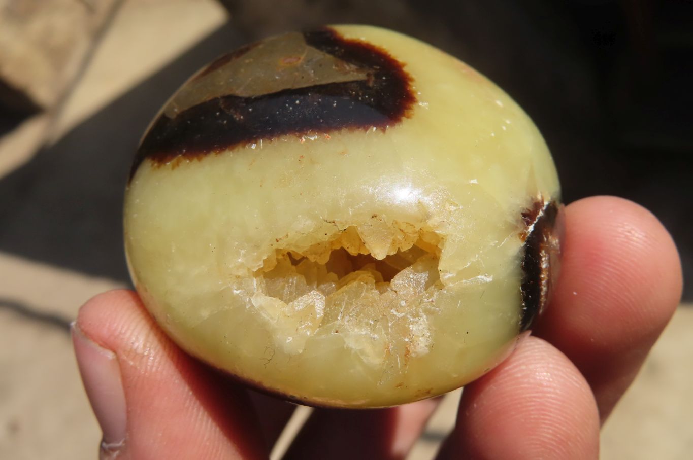 Polished Septerye Galet / Palm Stones x 12 From Mahajanga, Madagascar - Toprock Gemstones and Minerals 