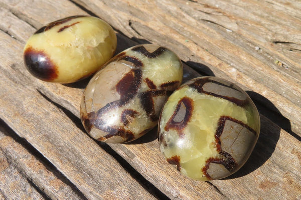 Polished Septerye Galet / Palm Stones x 12 From Mahajanga, Madagascar - Toprock Gemstones and Minerals 