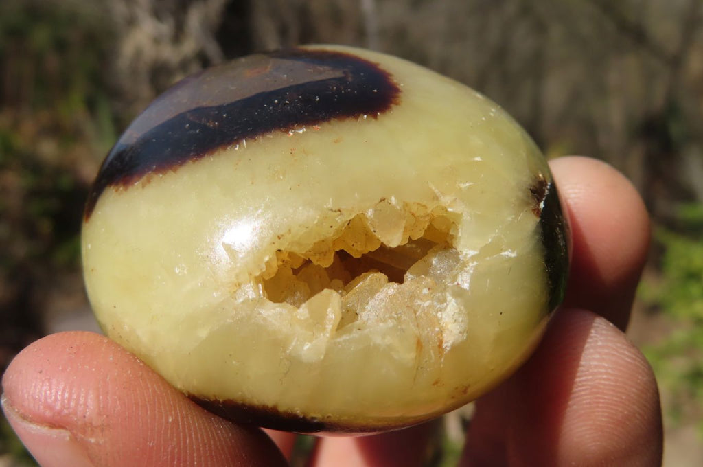 Polished Septerye Galet / Palm Stones x 12 From Mahajanga, Madagascar - Toprock Gemstones and Minerals 