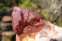 Natural Red Hematoid Phantom Quartz Cluster x 5 From Karoi, Zimbabwe - Toprock Gemstones and Minerals 