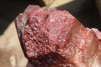 Natural Red Hematoid Phantom Quartz Cluster x 5 From Karoi, Zimbabwe - Toprock Gemstones and Minerals 