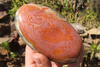Polished Polychrome Jasper Standing Free Forms x 3 From Mahajanga, Madagascar - Toprock Gemstones and Minerals 