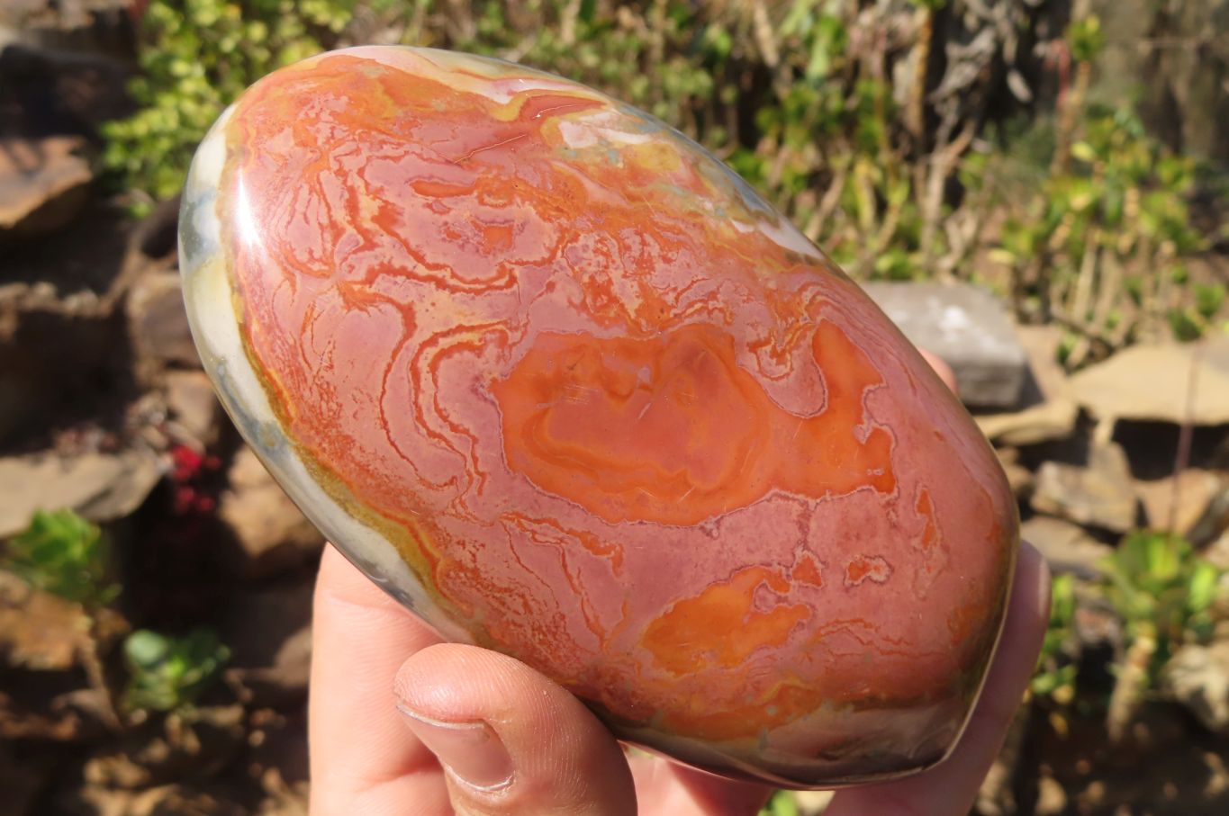 Polished Polychrome Jasper Standing Free Forms x 3 From Mahajanga, Madagascar - Toprock Gemstones and Minerals 