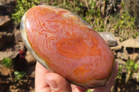 Polished Polychrome Jasper Standing Free Forms x 3 From Mahajanga, Madagascar - Toprock Gemstones and Minerals 