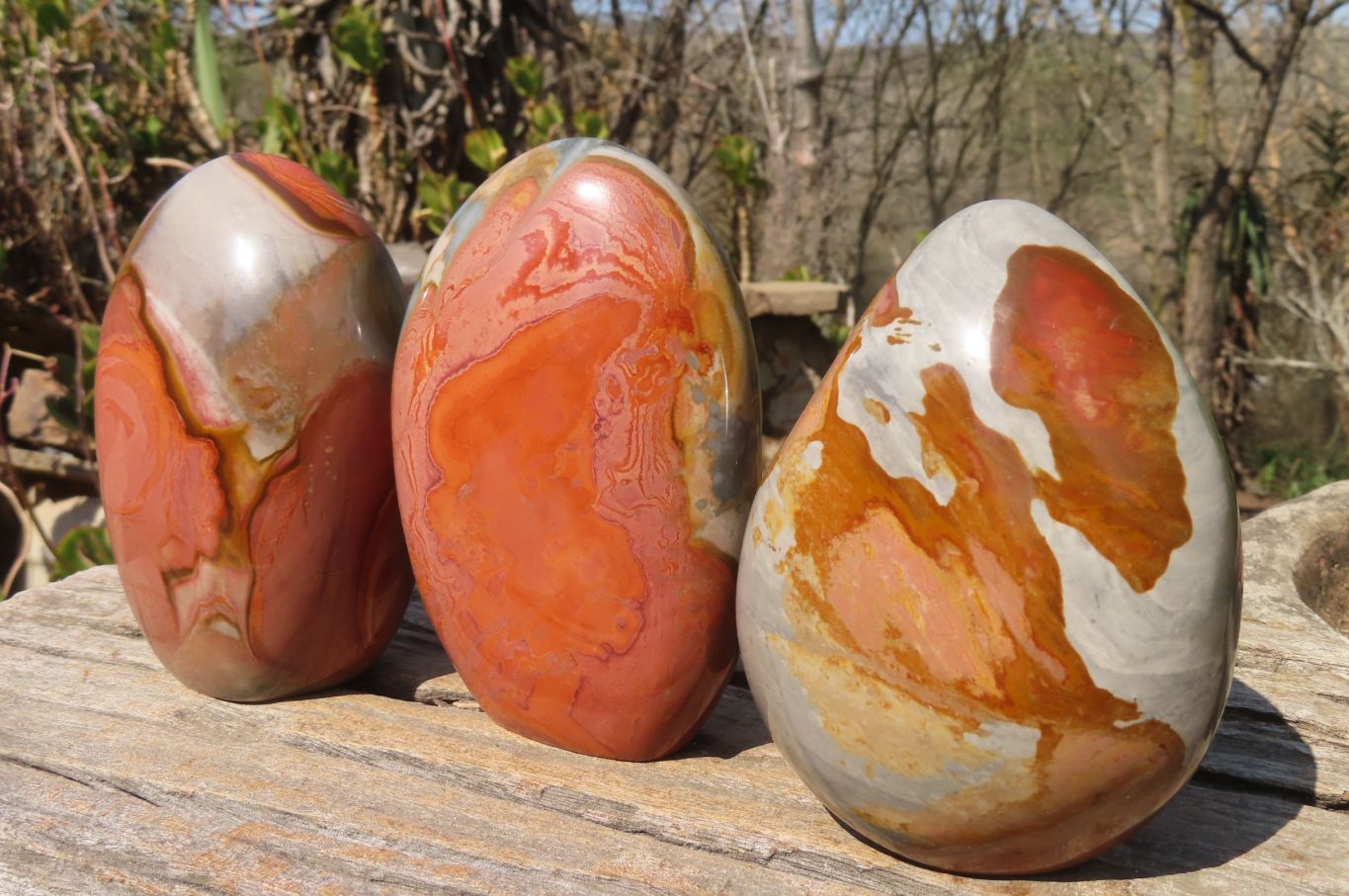 Polished Polychrome Jasper Standing Free Forms x 3 From Mahajanga, Madagascar - Toprock Gemstones and Minerals 