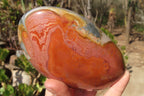 Polished Polychrome Jasper Standing Free Forms x 3 From Mahajanga, Madagascar - Toprock Gemstones and Minerals 