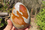 Polished Polychrome Jasper Standing Free Forms x 3 From Mahajanga, Madagascar - Toprock Gemstones and Minerals 