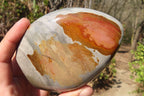 Polished Polychrome Jasper Standing Free Forms x 3 From Mahajanga, Madagascar - Toprock Gemstones and Minerals 
