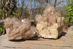 Natural Smokey Quartz Clusters x 2 From Luena, Congo - Toprock Gemstones and Minerals 