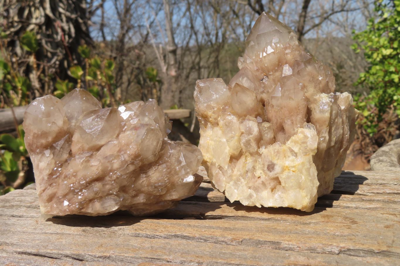 Natural Smokey Quartz Clusters x 2 From Luena, Congo - Toprock Gemstones and Minerals 