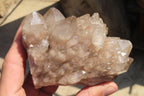 Natural Smokey Quartz Clusters x 2 From Luena, Congo - Toprock Gemstones and Minerals 