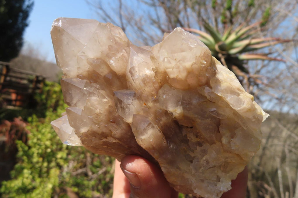 Natural Smokey Quartz Clusters x 2 From Luena, Congo - Toprock Gemstones and Minerals 
