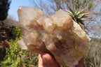 Natural Smokey Quartz Clusters x 2 From Luena, Congo - Toprock Gemstones and Minerals 