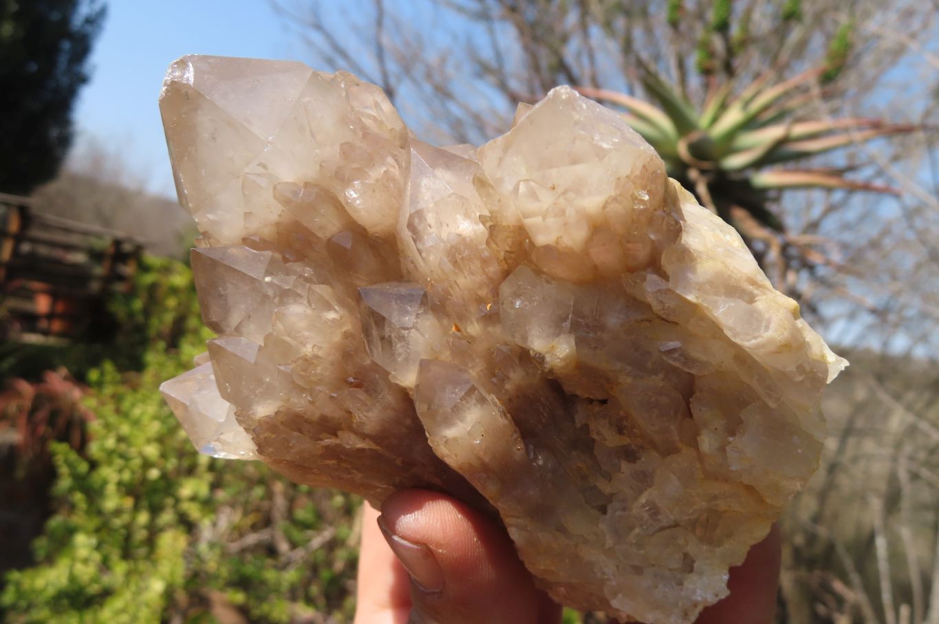 Natural Smokey Quartz Clusters x 2 From Luena, Congo - Toprock Gemstones and Minerals 