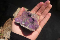Natural Purpurite Cobbed Specimens x 6 From Erongo, Namibia - Toprock Gemstones and Minerals 