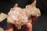 Natural Clear Quartz Crystal Specimens x 12 From Mpika, Zambia