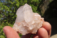 Natural Clear Quartz Crystal Specimens x 12 From Mpika, Zambia