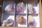 Polished Single Jacaranda Amethyst Crystals x 6 From Mumbwe, Zambia - Toprock Gemstones and Minerals 