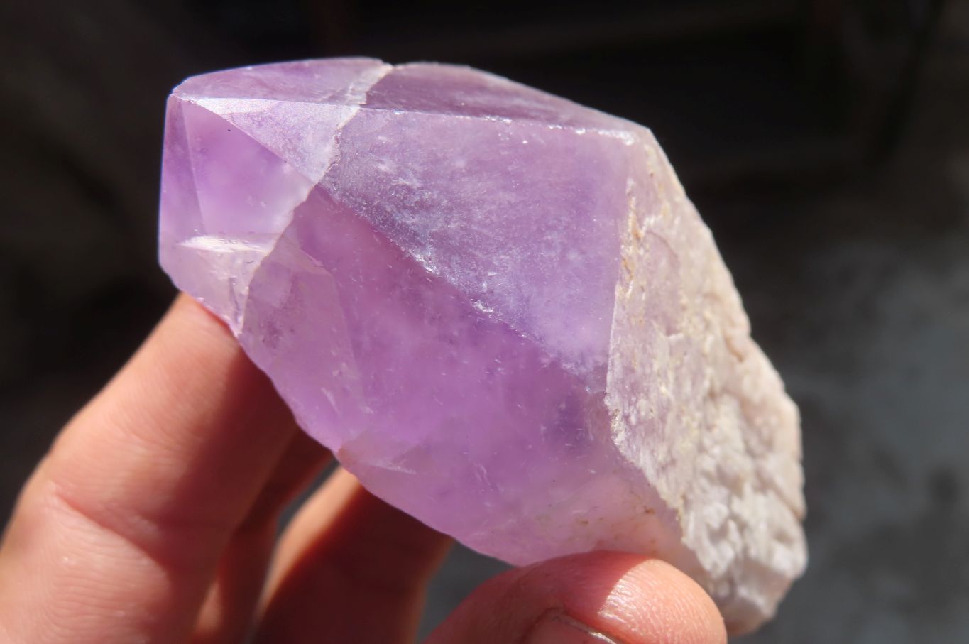 Polished Single Jacaranda Amethyst Crystals x 6 From Mumbwe, Zambia - Toprock Gemstones and Minerals 