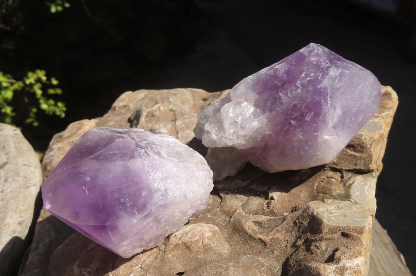 Polished Single Jacaranda Amethyst Crystals x 6 From Mumbwe, Zambia - Toprock Gemstones and Minerals 