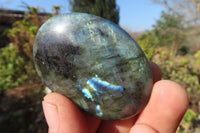 Polished Labradorite Galet / Palm Stones x 12 From Tulear, Madagascar - Toprock Gemstones and Minerals 