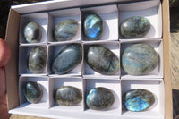 Polished Labradorite Galet / Palm Stones x 12 From Tulear, Madagascar - Toprock Gemstones and Minerals 