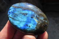 Polished Labradorite Galet / Palm Stones x 12 From Tulear, Madagascar - Toprock Gemstones and Minerals 