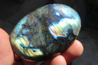 Polished Labradorite Galet / Palm Stones x 12 From Tulear, Madagascar - Toprock Gemstones and Minerals 