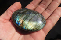 Polished Labradorite Galet / Palm Stones x 12 From Tulear, Madagascar - Toprock Gemstones and Minerals 