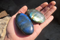 Polished Labradorite Galet / Palm Stones x 12 From Tulear, Madagascar - Toprock Gemstones and Minerals 
