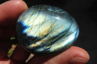 Polished Labradorite Galet / Palm Stones x 12 From Tulear, Madagascar - Toprock Gemstones and Minerals 