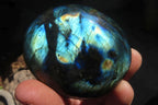 Polished Labradorite Galets / Palm Stones x 12 From Tulear, Madagascar - Toprock Gemstones and Minerals 