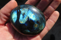 Polished Labradorite Galets / Palm Stones x 12 From Tulear, Madagascar - Toprock Gemstones and Minerals 