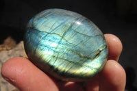 Polished Labradorite Galets / Palm Stones x 12 From Tulear, Madagascar - Toprock Gemstones and Minerals 