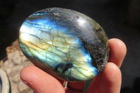 Polished Labradorite Galets / Palm Stones x 12 From Tulear, Madagascar - Toprock Gemstones and Minerals 