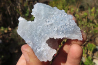 Natural Etched Blue Chalcedony Specimens x 24 From Nsanje, Malawi - Toprock Gemstones and Minerals 