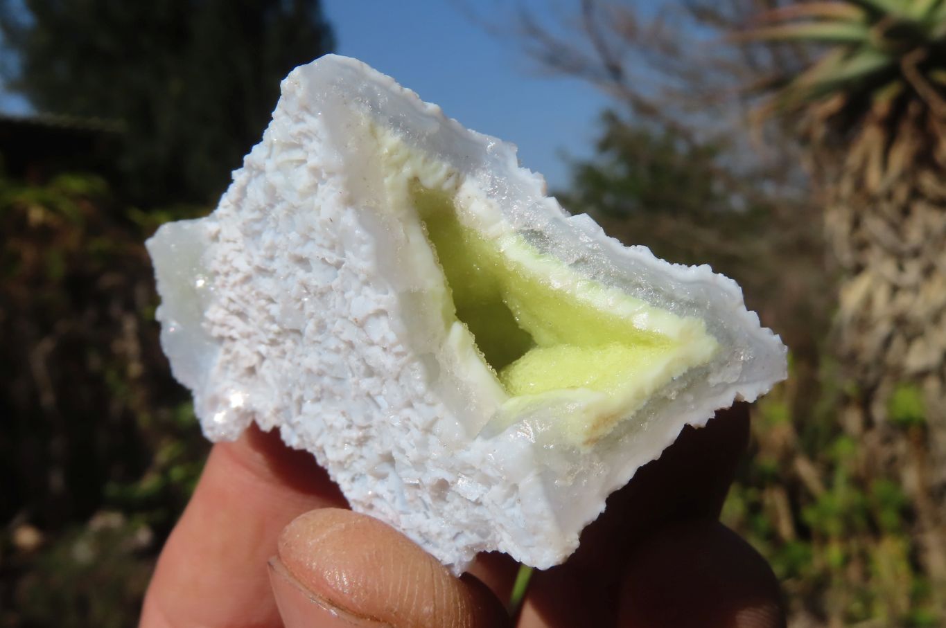 Natural Etched Blue Chalcedony Specimens x 24 From Nsanje, Malawi - Toprock Gemstones and Minerals 