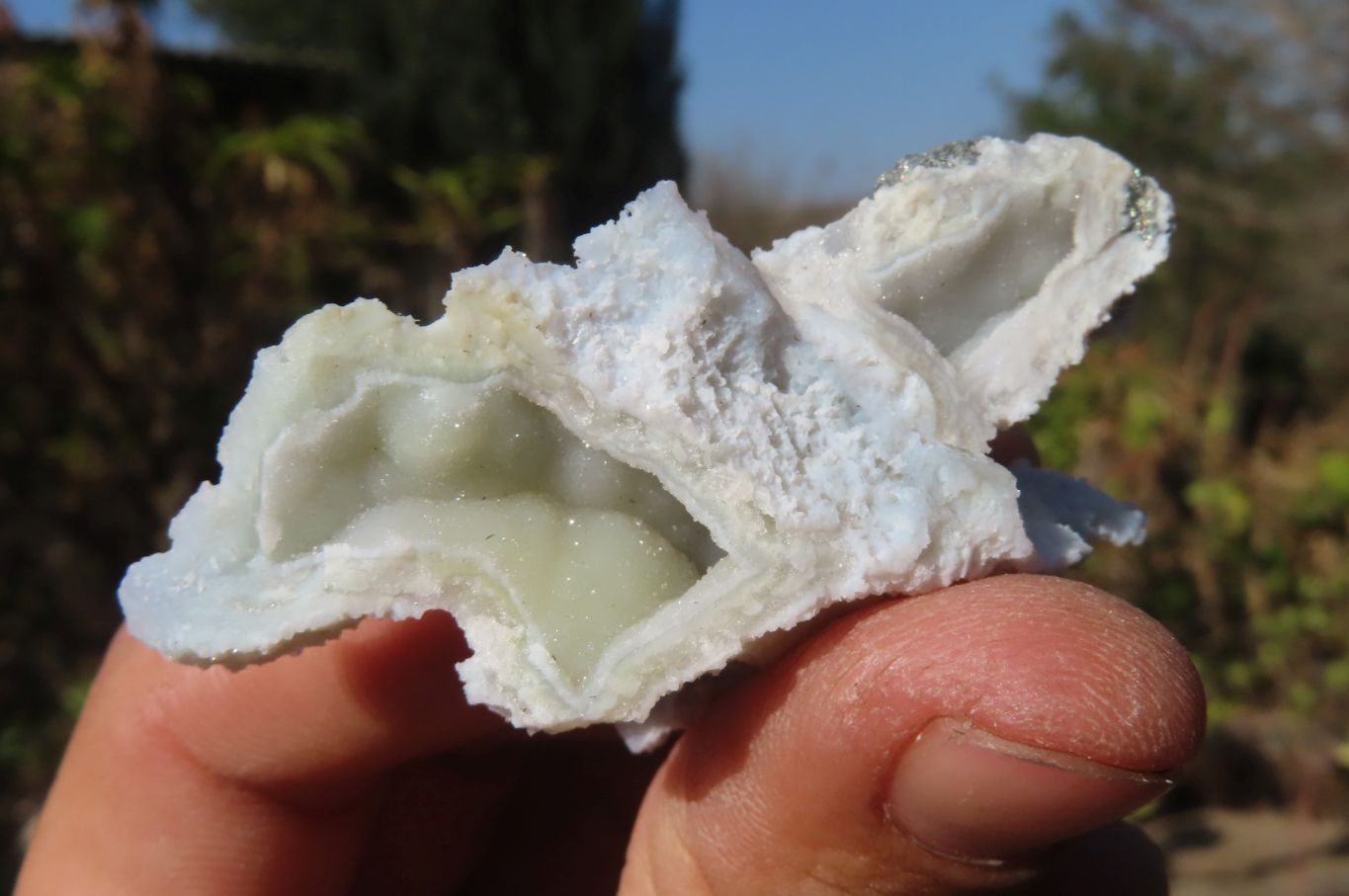 Natural Etched Blue Chalcedony Specimens x 24 From Nsanje, Malawi - Toprock Gemstones and Minerals 