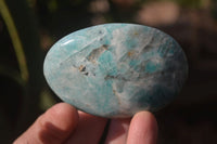 Polished Amazonite Galet / Palm Stones x 12 From Ambositra, Madagascar