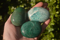 Polished Amazonite Galet / Palm Stones x 12 From Ambositra, Madagascar
